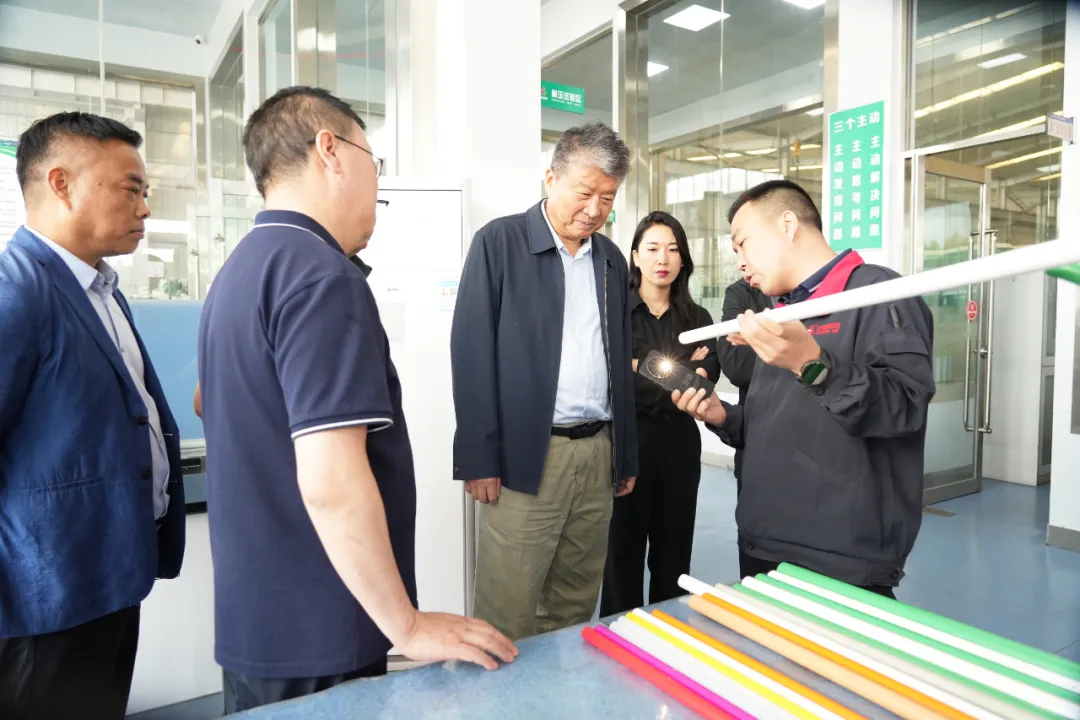 image_1778210265_003.webp